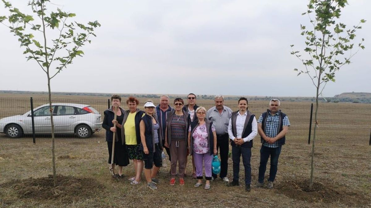 PNL Cumpăna a organizat o acțiune de plantare arbuști în parcul Elena Frâncu
