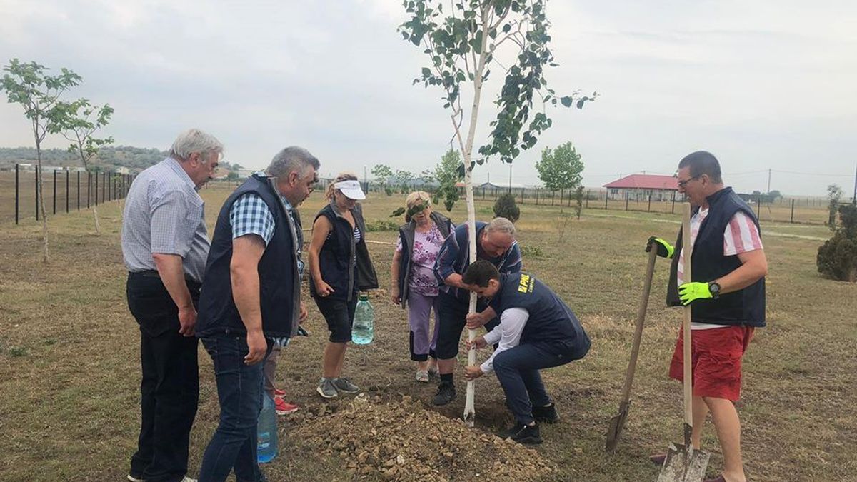 PNL Cumpăna a organizat o acțiune de plantare arbuști în parcul Elena Frâncu
