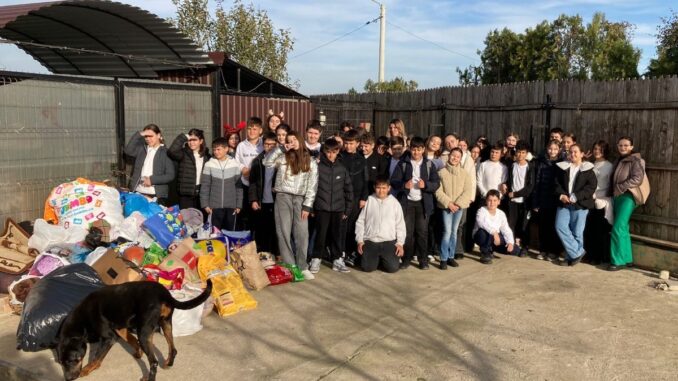 Elevii din Cumpăna, voluntari pentru ajutorarea câinilor și pisicilor de la Adăpostul privat Doggy Land. FOTO Facebook