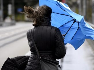 Cod galben de vânt puternic. FOTO ilustrativ