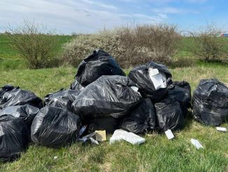 deseuri aruncate pe câmp