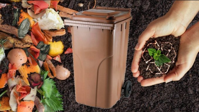 pubele deseuri biodegradabile